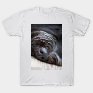 Black Nose T-Shirt